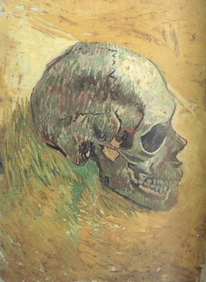 Vincent Van Gogh Skull (nn04) oil painting picture